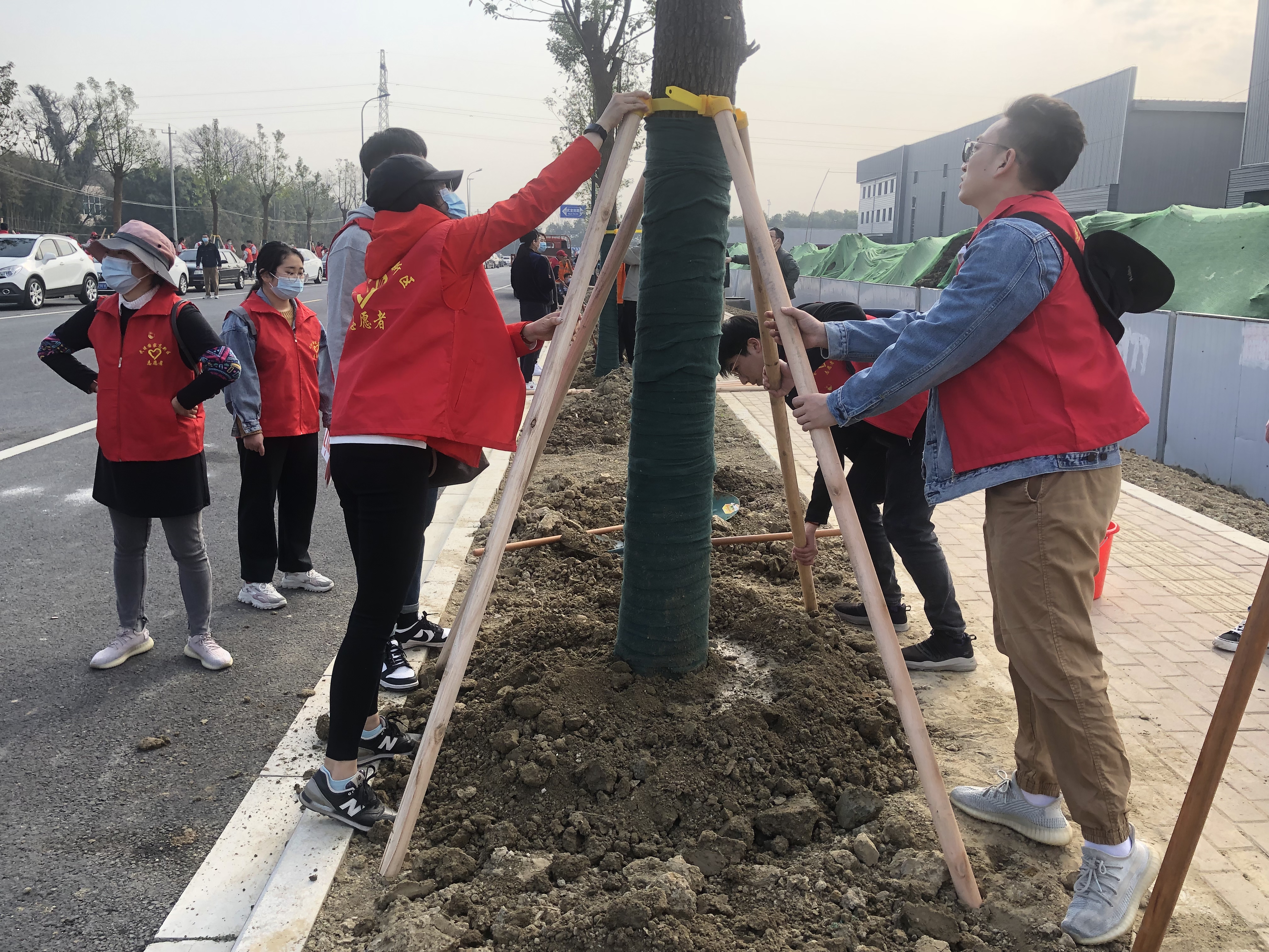 合力植树.jpg 合力植树.jpg
